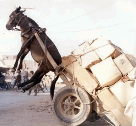 JustLoad